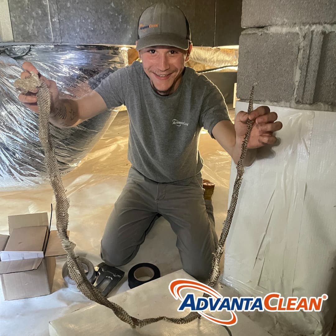 Sanitizing Services