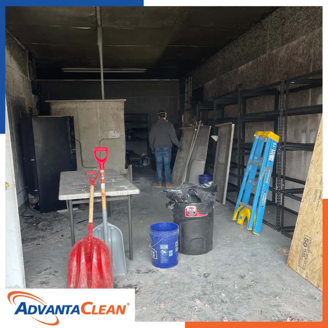Water, Mold & Environmental Cleanup Services in Harrison, TN
