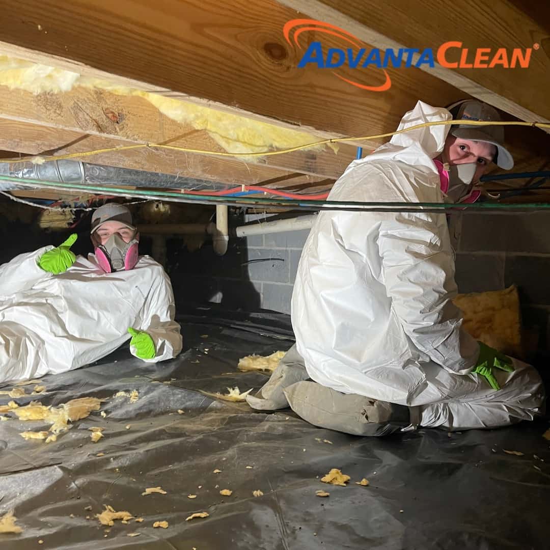Water Damage, Mold Removal & Moisture Control in Ooltewah